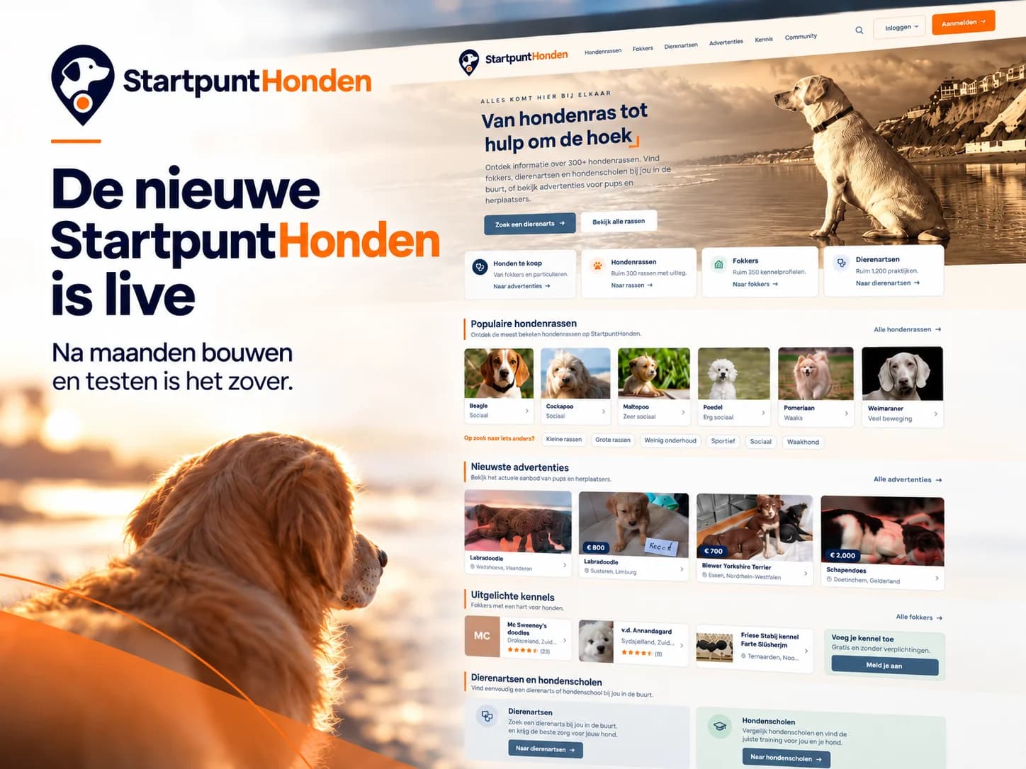 StartpuntHonden is vernieuwd
