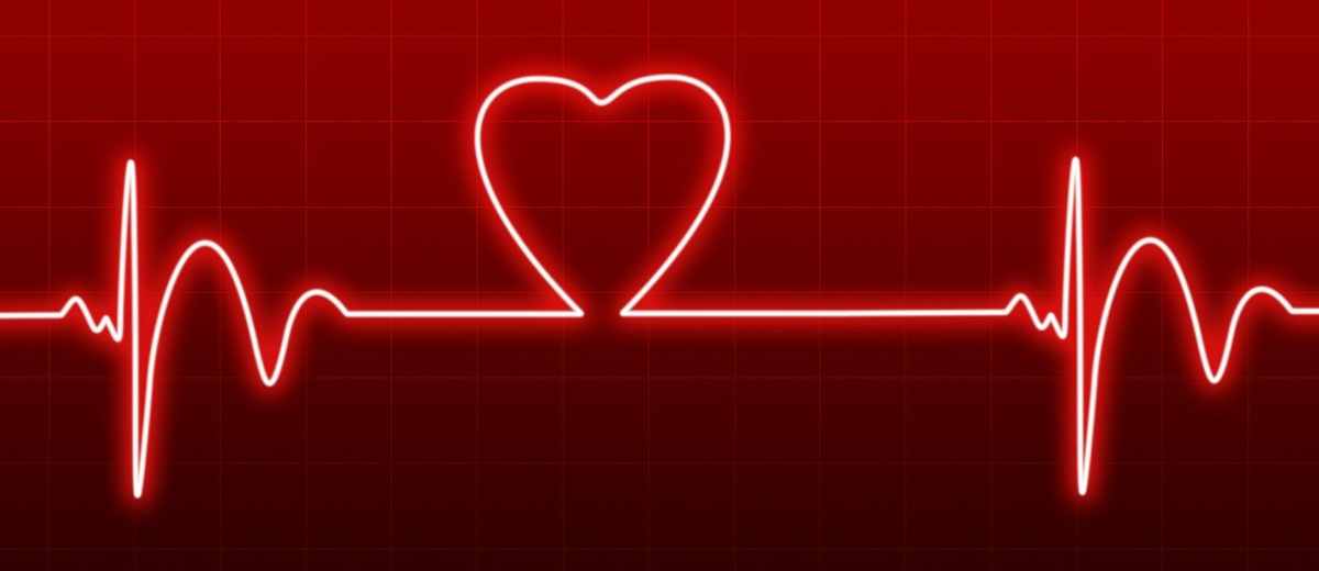 Mitralisinsufficientie - lekkende hartklep bij een Pekingees